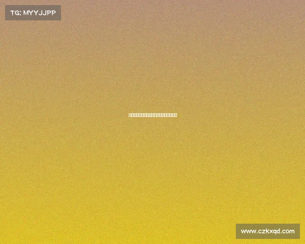 《永不熄灭的电竞之火：老兵的荣耀征途》